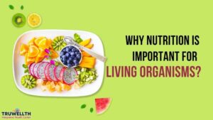 Why Nutrition is Important for Living Organisms