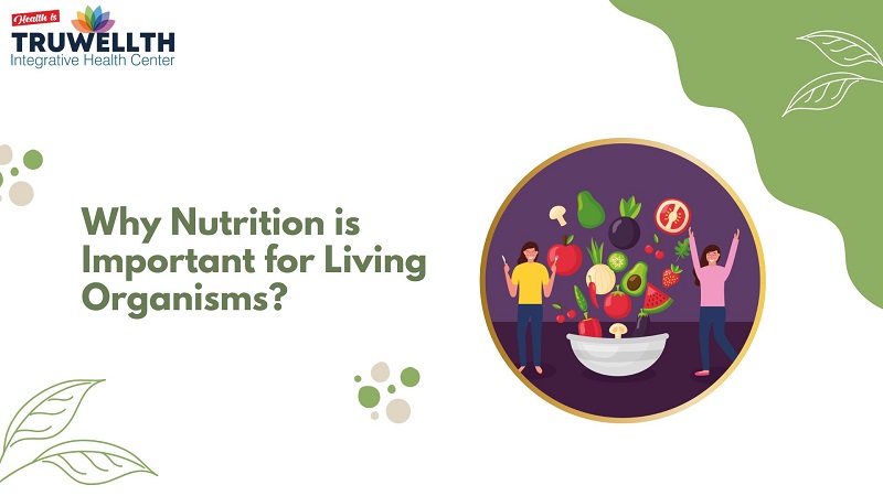 Why Nutrition is Important for Living Organisms